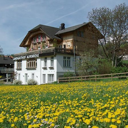Hotel Alpenrose Beim Ballenberg Hofstetten bei Brienz エクステリア 写真