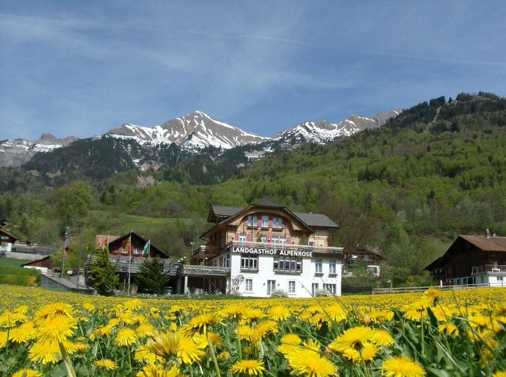 Hotel Alpenrose Beim Ballenberg Hofstetten bei Brienz エクステリア 写真
