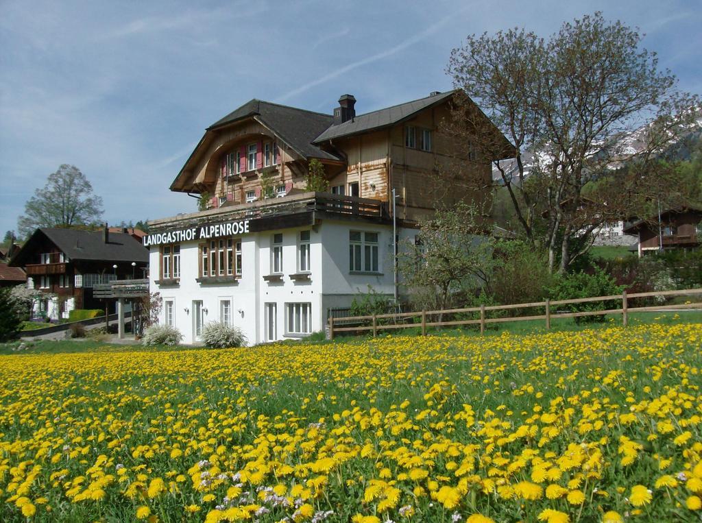 Hotel Alpenrose Beim Ballenberg Hofstetten bei Brienz エクステリア 写真